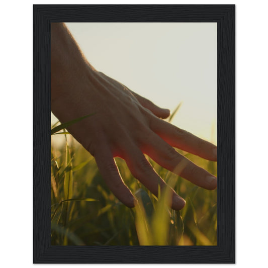Hand in Grass Premium Matte Paper Wooden Framed Poster
