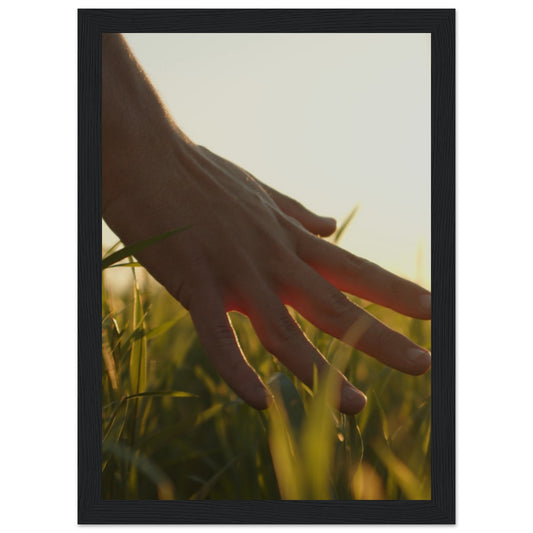 Hand in Grass Premium Matte Paper Wooden Framed Poster