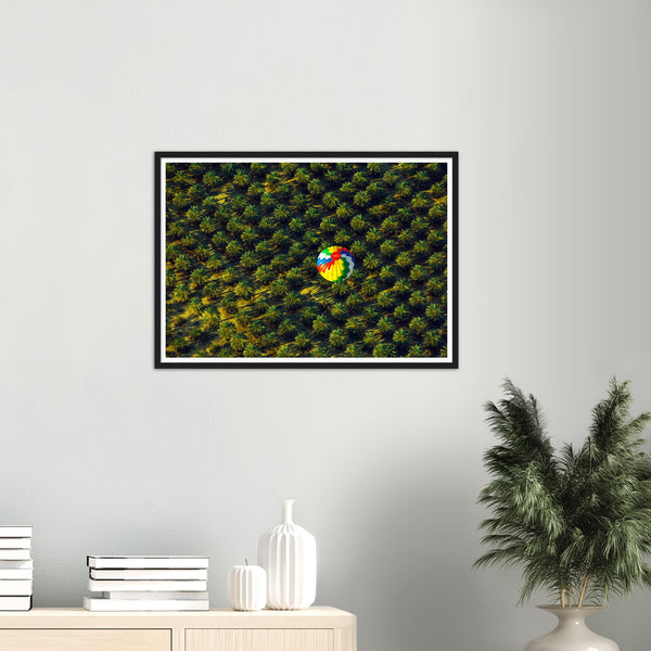 Air Balloon in Hegra Poster