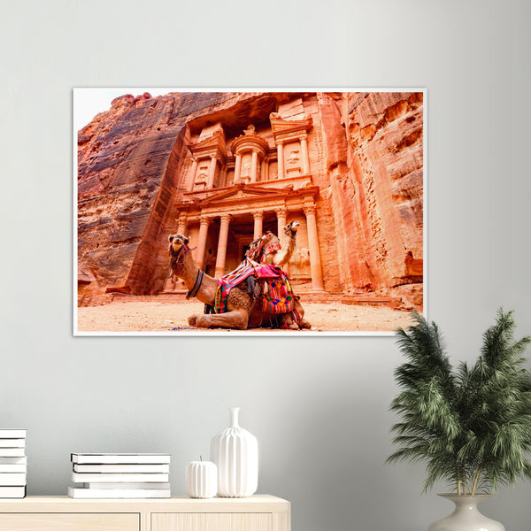 Camels and The Treasury Poster