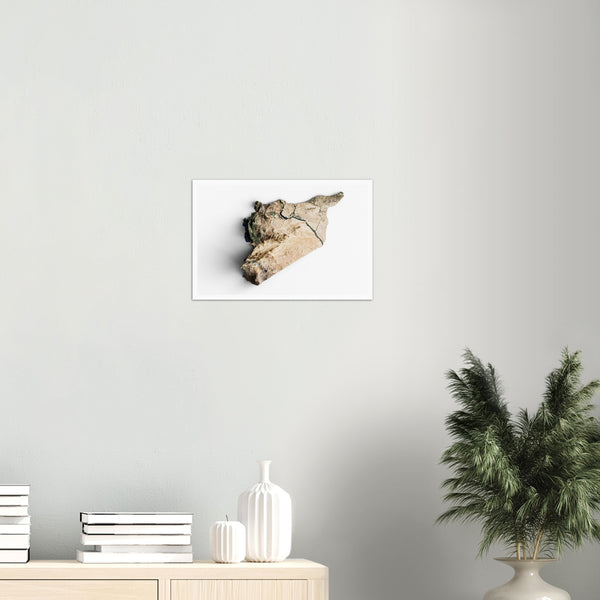 Syria Topographic Map Poster