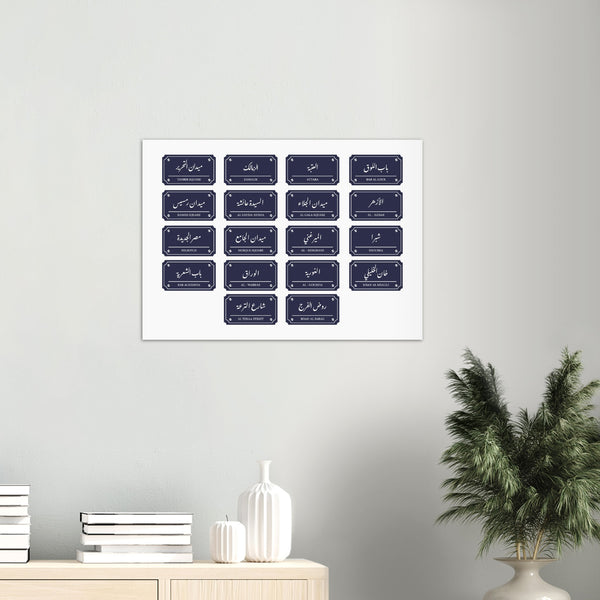 Cairo City Zones Poster