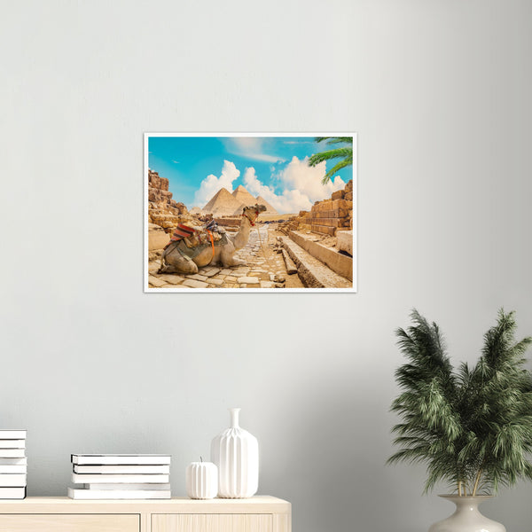 Camel Near Pyramids of Egypt Poster